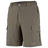 Columbia Omni Shield Silver Ridge Stretch Short - Mens