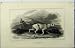1817 MAN HUNTING GUN DOG POINTER MOUNTAIN SCENE PRINT