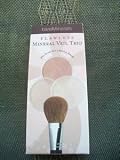 Escentuals Mineral: bareMinerals Flawless Mineral Veil Trio Plus Brush for a Flawless Finish