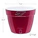Santino ASTI 7.9 Inch Self Watering Planter RED-Pearl/White for Indoor Plants - Premium Quality Modern Plastic Pot w/Water Level Indicator for All House Herbs, Plants, African Violets and Dahlias