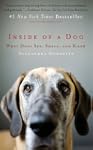 Inside of a Dog