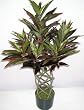 3' Braided Trunk Artificial Yucca Plant