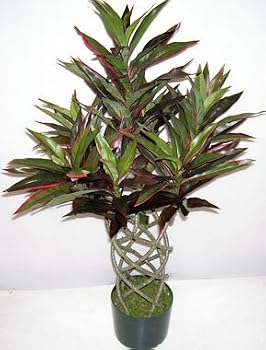 3' Braided Trunk Artificial Yucca Plant