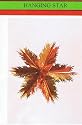 Foil Star 5-Point 12" - Red/Gold (152357)