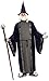 Forum Novelties Men's Wizard Adult Costume, Purple