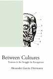 Between Cultures: Tensions in the Struggle for Recognition (Phronesis)
