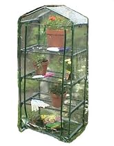 4 Tier Greenhouse