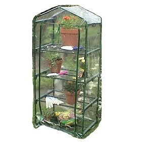 greenhouse