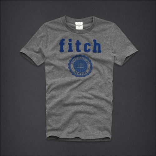 abercrombie アバクロンビー GUYS 半袖 Tシャツ [グレー/upper hudson] 並行輸入品