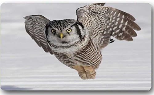 Furniturey Northern_Hawk_Owl_n09-2-086_l Creative Animal Doormat