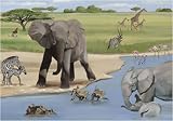 African Safari Canvas Reproduction