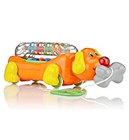 Pull Along Dog n Bone Phone Toy