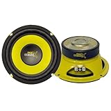 PYLE PLG64 6.5-Inch 300 Watt Mid Bass Woofer