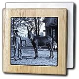 1901 Man and a Mule in Milwaukee Cyan - 6 Inch Tile Napkin Holder
