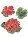 Wallies Geraniums Wall Decorations