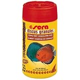41VyP9c5IHL. SL160  Breeding Discus Fish   What It Takes To Be Successful