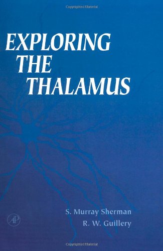 exploring the thalamus
