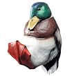 Mallard Duck Decorative Coat Hook