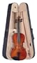 Palatino Allegro Viola Outfit  15in.