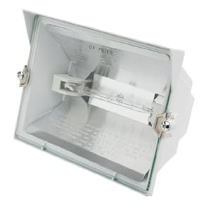 Designers Edge L-30WH 300-Watt Halogen Floodlight, White
