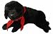 26" Exclusive Extra Soft and Cuddly Plush Black Lab Stuffed Lap Animal