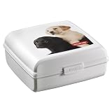 Curver 02273-P74-01 Pet-Snack-Box 'L' 2.7 L, 20.2 x 20.11 x 8.6 cm