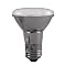 LED White Lighting