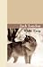 White Fang (Paperback)