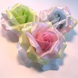 Gift Box of Multi Color Pastel Pink, Green & Blue Rose Hair Clip & Pin Combo Backings