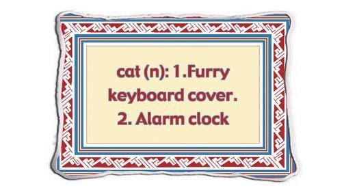 Cat Definition Pillow Pillow - 9 x 13 Pillow