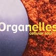 Cellular Soul