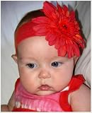 Z: Red Daisy Headband