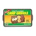 Coghlan's Non-Stick Two Burner Griddle