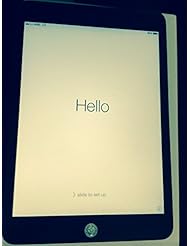 Personal Computer: iPad Mini Wi-Fi Cell 16gb BLK-ATT - APPLE INC