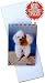 poodle33 - 3D Poodle Dog Themed Pocket Notepad