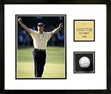 David Toms - Golf Ball Series