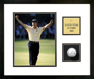 Buy David Toms - Golf Ball Series by Pro Tour Memorabilia