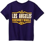 NBA Boys Los Angeles Lakers Short Sleeve Tee "Team Perimeter" - R6A36E-L (Purple, Medium,size 5/6)
