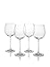 Nachtmann Vivendi Set of 4 White Wine Glasses, 16-Ounce