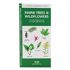 Maine Trees and Wildflowers: An Introduction to Familiar Species (State Nature Guides) by James Kavanagh and Raymond Leung