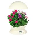 AeroGarden 3 with English Cottage