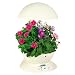 Outdoor Living : AeroGarden 3 with English Cottage