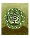 Celtic Tree of Life II Emerging Artists Giclee Poster Print by Michael K Davies, 16x20
