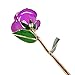 Amazleer Love Forever Long Stem Dipped 24k Gold Foil Trim Purple Rose Enchantress Flora with Thorns Real Rose Dipped in Gold
