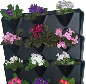 Minigarden® – der Mini Garten für zu Hause, Balkon, Terrasse- in der Farbe Schwarz