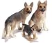 Schleich 16376 Schäferhund Rüde, 16375 Schäferhündin, 16343 Schäferhund Welpe Set