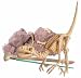 Toysmith Dig-A-Dino Kit I