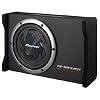 Pioneer TS-SWX251 10" Flat Subwoofer with Enclosure 800 Watts