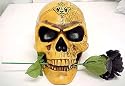 Alchemy Gothic Phrenology Skull Statue Head Psychology