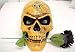 Alchemy Gothic Phrenology Skull Statue Head Psychology